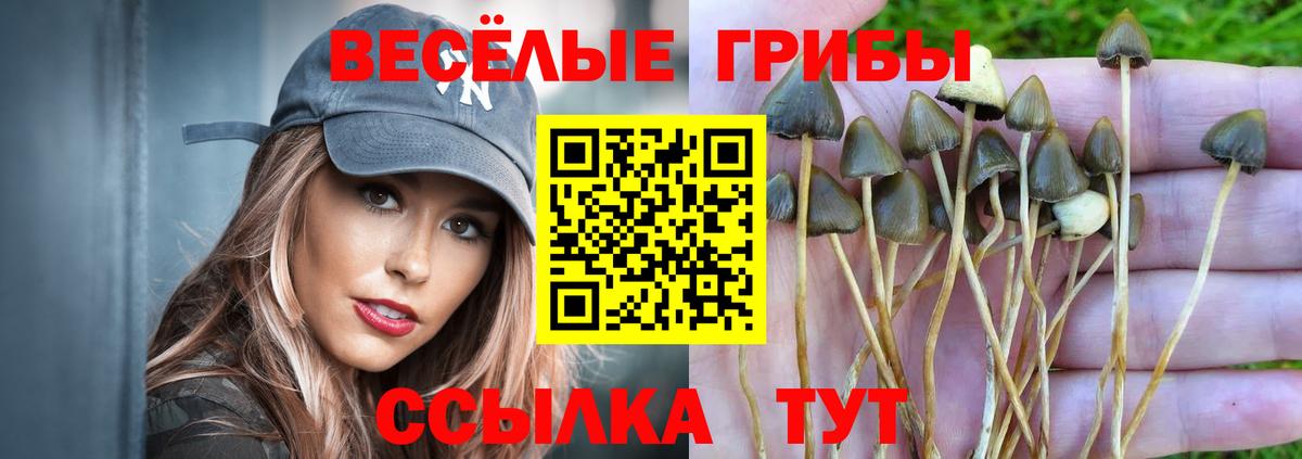 Галлюциногенные грибы мухоморы  Вход с VPN  Карталы 
